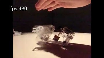 SIGGRAPH Asia 2014 - Emerging Technologies Preview Trailer