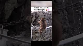 Punch-kun with his Deep Thoughts #shortsfeed #shortsvideo #shortsyoutube #short #shorts #shortvideo