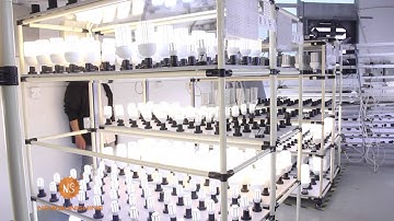 72 hours ageing test light failure is less than 2%