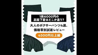 1枚6000円の高級下着はどこか違う？ 大人のボクサーパンツ4選、価格帯別試着レビュー〜4500円以上編