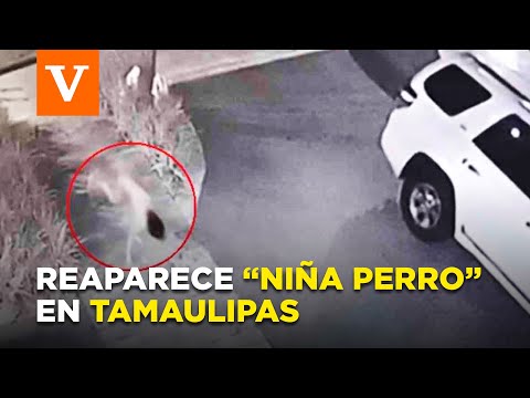 Reaparece “la niña perro” en Tamaulipas