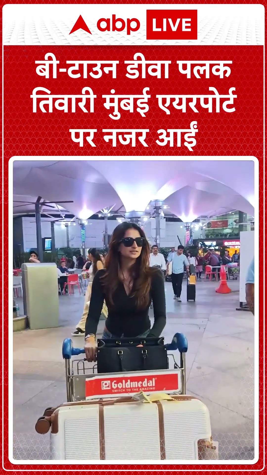 Bollywood News: मुंबई एयरपोर्ट पर इस अंदाज में नजर बी-टाउन Diva Palak Tiwari | ABP LIVE | SHORTS