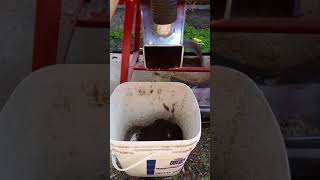 Chicken Bedding 6mm 04 YouTube