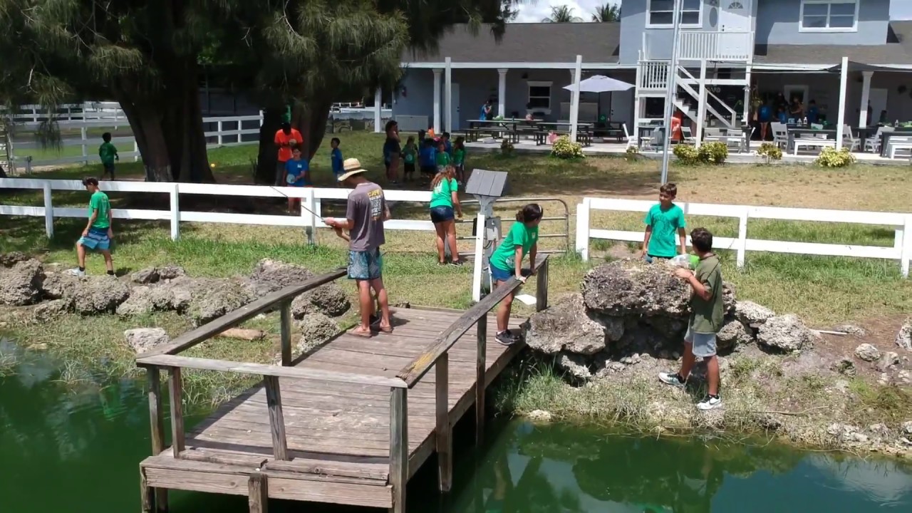 Camp Lingua Session 2 - 2018