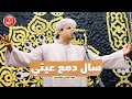 سال دمع عيني محمود التهامي مولد سيدي الم رسي أبوالعباس ٢٠٢٣ 