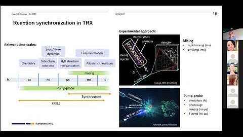 Sample requirements for time-resolved experiments with biomolecules at European XFEL