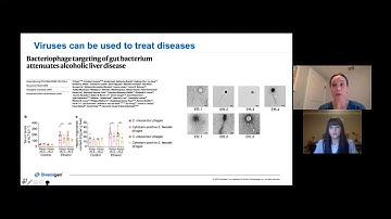 An introduction to viral metagenomics: Opportunities, challenges and applications