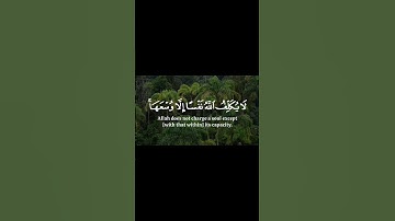 لا يكلف الله نفسا إلا وسعها. سورة البقرة 286 #explore #اكسبلور #المصحف #quran #تلاوة #قرآن