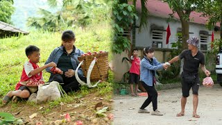 Harvesting wax apple fruit to sell, a happy day for a pregnant woman and a 13-year-old boy