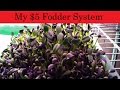 Sunflower Seed Fodder System