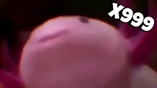 Axolotl Meme - Speed X999