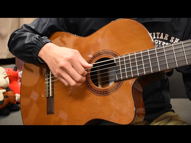 CORDOBA C5-CE NATURAL NYLON STRING - Newell's Music