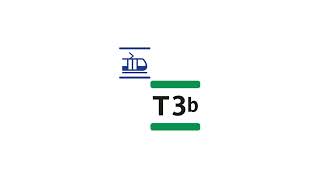 Ratp Tram T3B - Marguerite Long