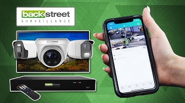 Pro-Vue App Beginner