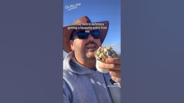 Is this a cool Geocaching Container? #geocache #treasurehunt