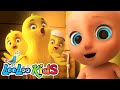 Little chicks  song for kids with animals  animal sounds