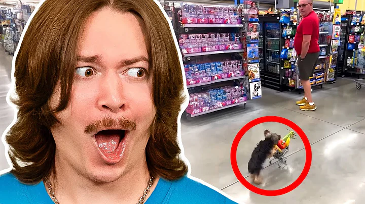 Overdosing on Daily Dose of Internet