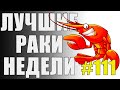 ЛРН выпуск №111. ЧУДЕСА ЛОГИКИ и ТАНК ПРИЛИПАЛА [Лучшие Раки Недели]