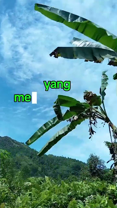 Semakin bertambah usia, semakin malas untuk berdebat