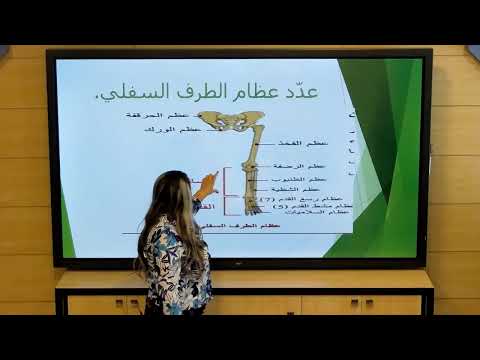 تاسع علم الأحياء الهيكل العظمي
