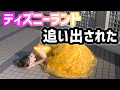 【美女と野獣】ベルのコスプレして東京ディズニーランド【新エリア】行ってみたらまさかの事態が…【TDL】2020