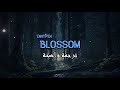 ترجمة واضحة لأغنية enhypen اليابانية الجديدة blossom