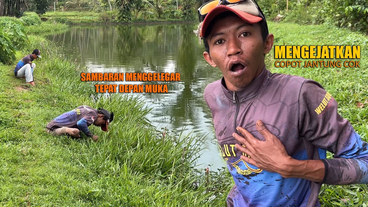 BIKIN JANTUNG BERGETAR !! UMPAN BARU CEMPLUNG LANGSUNG MENGGELEGAR