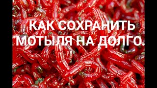 пробивка сортировка и хранение мотыля.