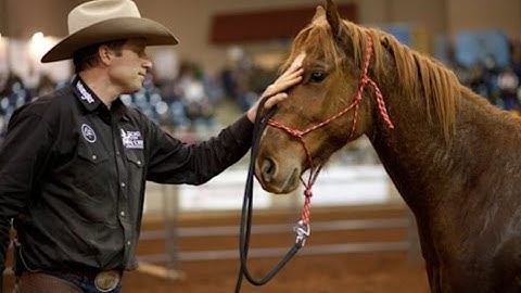 Jonathan Field Horsemanship