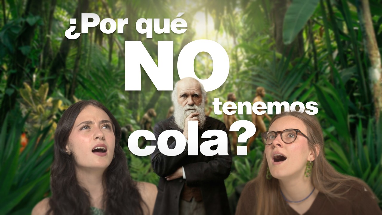 EVOLUCIÓN: Darwin y la teoría que dividió al mundo