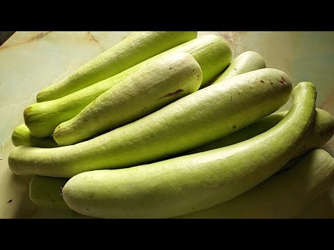 مربى القرع الأخضر الكواز قليل من الناس يعرفونه شهي جدا      