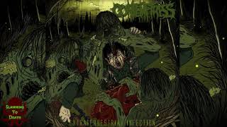 Buried in Pieces - Pornographic Apathy