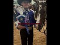 I might be going to pinto world show next year!!!