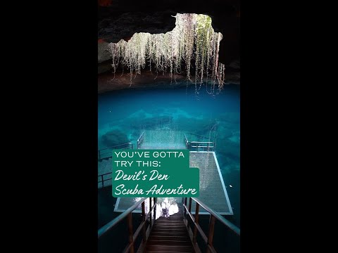 You've Gotta Try: Diving Devil's Den with Visit Florida