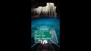 You've Gotta Try: Diving Devil's Den with Visit Florida by BuzzFeedVideo 13,688 views 10 months ago 1 minute, 11 seconds