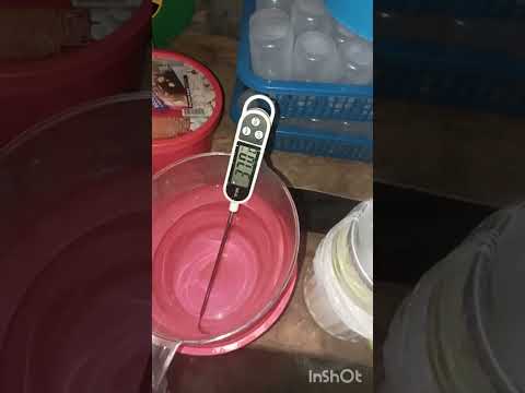 How To Process Boar Semen