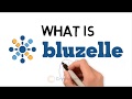 What is Bluzelle?