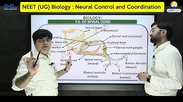 ALLEN IHL Interactive Video Lecture for NEET (UG) Biology | Neural Control and Coordination