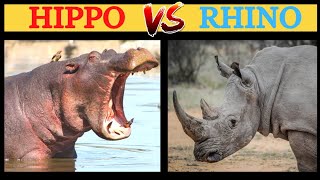 Hippo vs Rhino कौन जीतेगा इनकी लड़ाई मै ?? #hippo vs #rhino| hippo vs rhino real fight | in hindi..