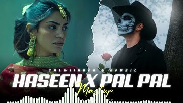 Afusic - Pal Pal (Official Music Video) Prod.@Simran_Song_Lofi