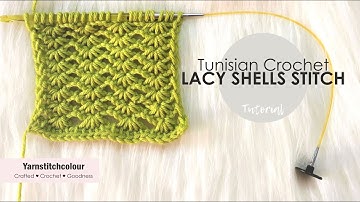 Tunisian crochet LACY SHELLS stitch I How to crochet I Stitch Tutorial I Return pass stitch