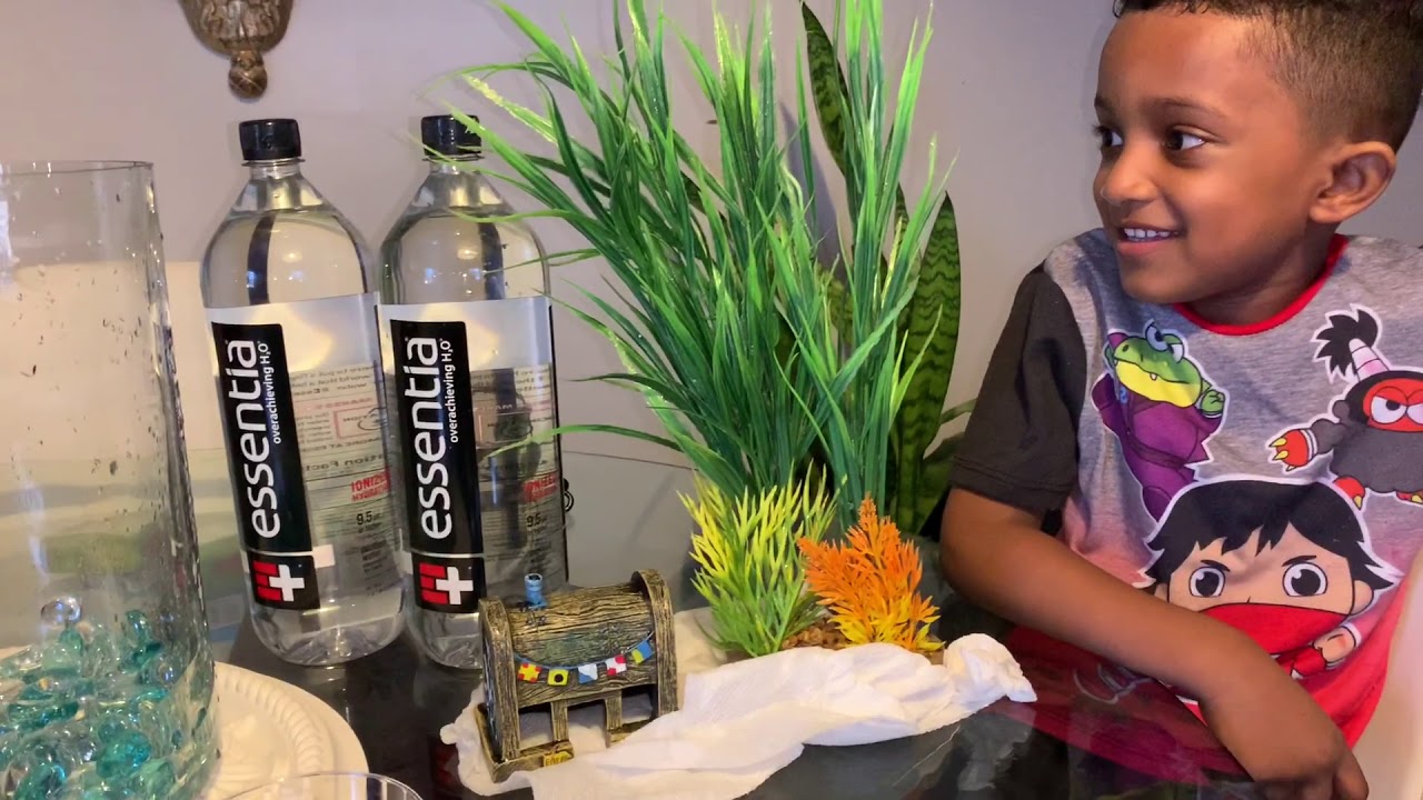 Cleaning Betta Fish Bowl YouTube