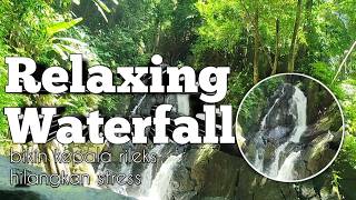 Relaxing Sounds Of A Waterfall In The Forest