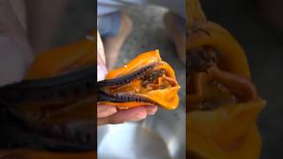 Whats Inside A Mussel?