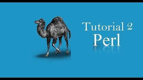 Perl Programming Language (Easy explanation) | Tutorial 2