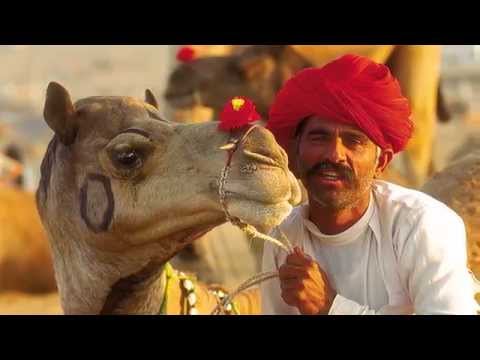 Paquetes de viaje a la India — VIVA India