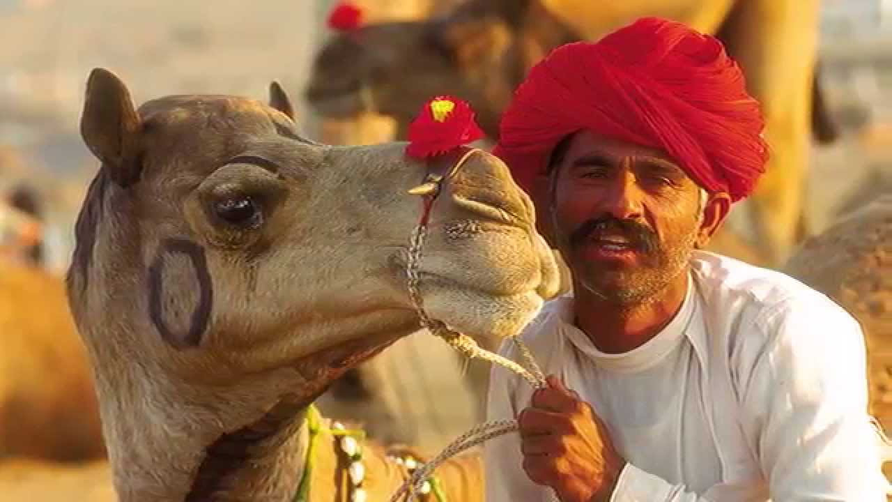 Paquetes de viaje a la India