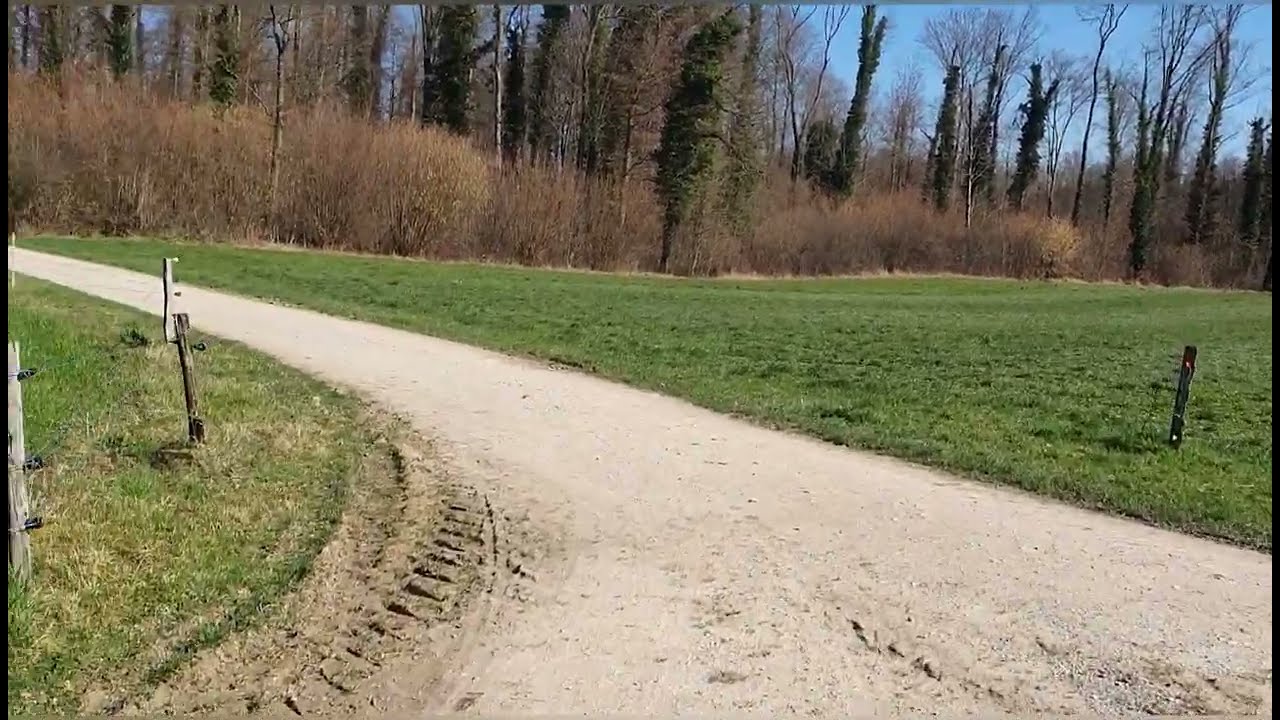 เลาะไปชม#ใบกระเทียมป่า#ข้างๆหมู่บ้านเล็กๆep563