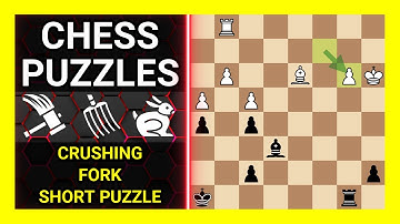 Chess Puzzles to Practice. Themes: Crushing, Fork, Short puzzle. Learn Chess