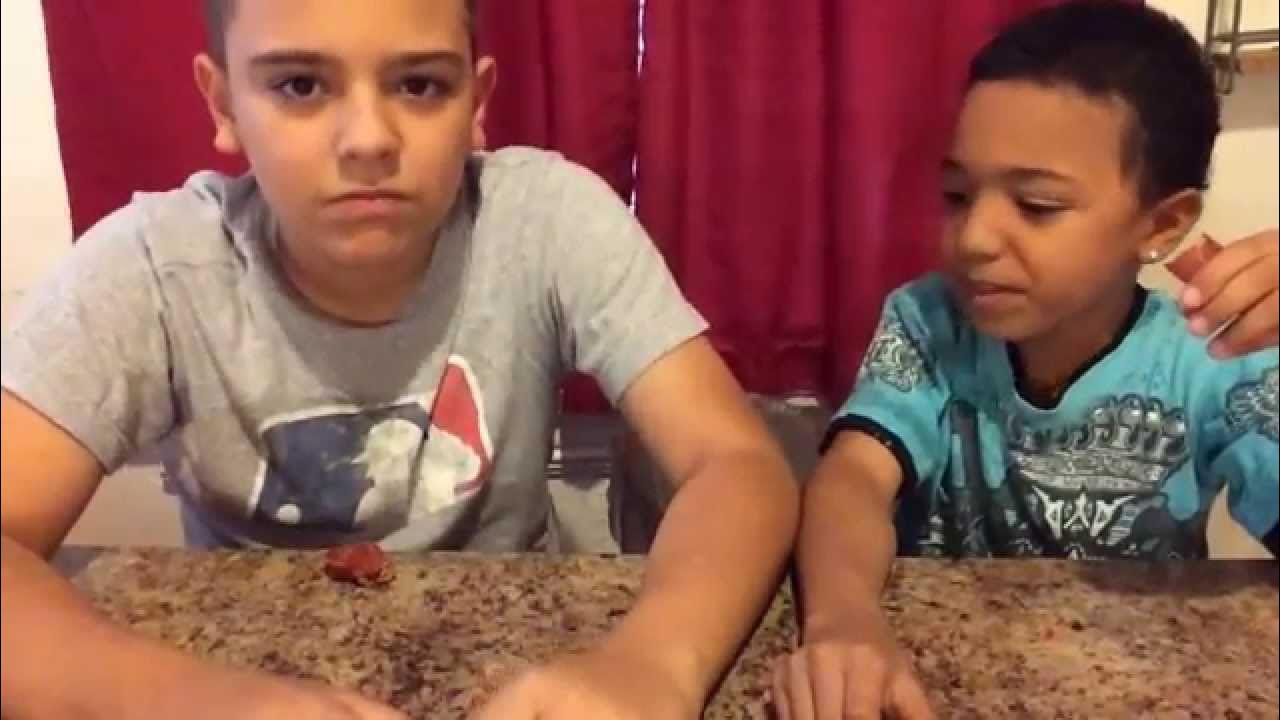 "Trying Dog/Cat Treats"VOMIT ALERT! YouTube